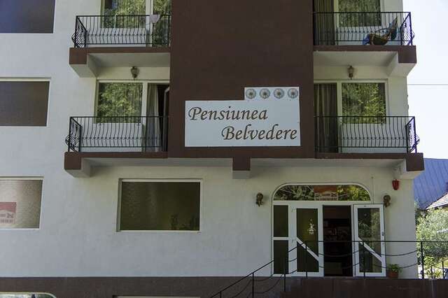 Гостевой дом Belvedere Olanesti Бэи­ле-Олэ­неш­ти-11